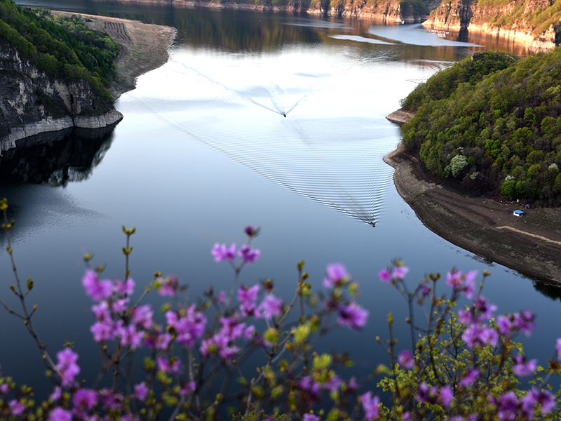 白山湖仁义春景